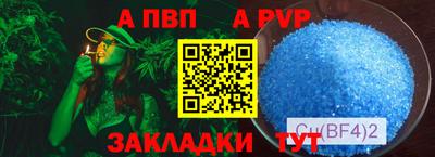 индика Гай