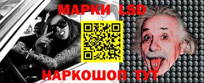 индика Гай