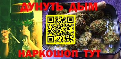 индика Гай