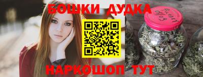 индика Гай